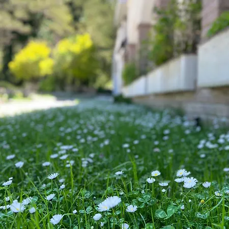 Hotel Alpin Llogara 4*